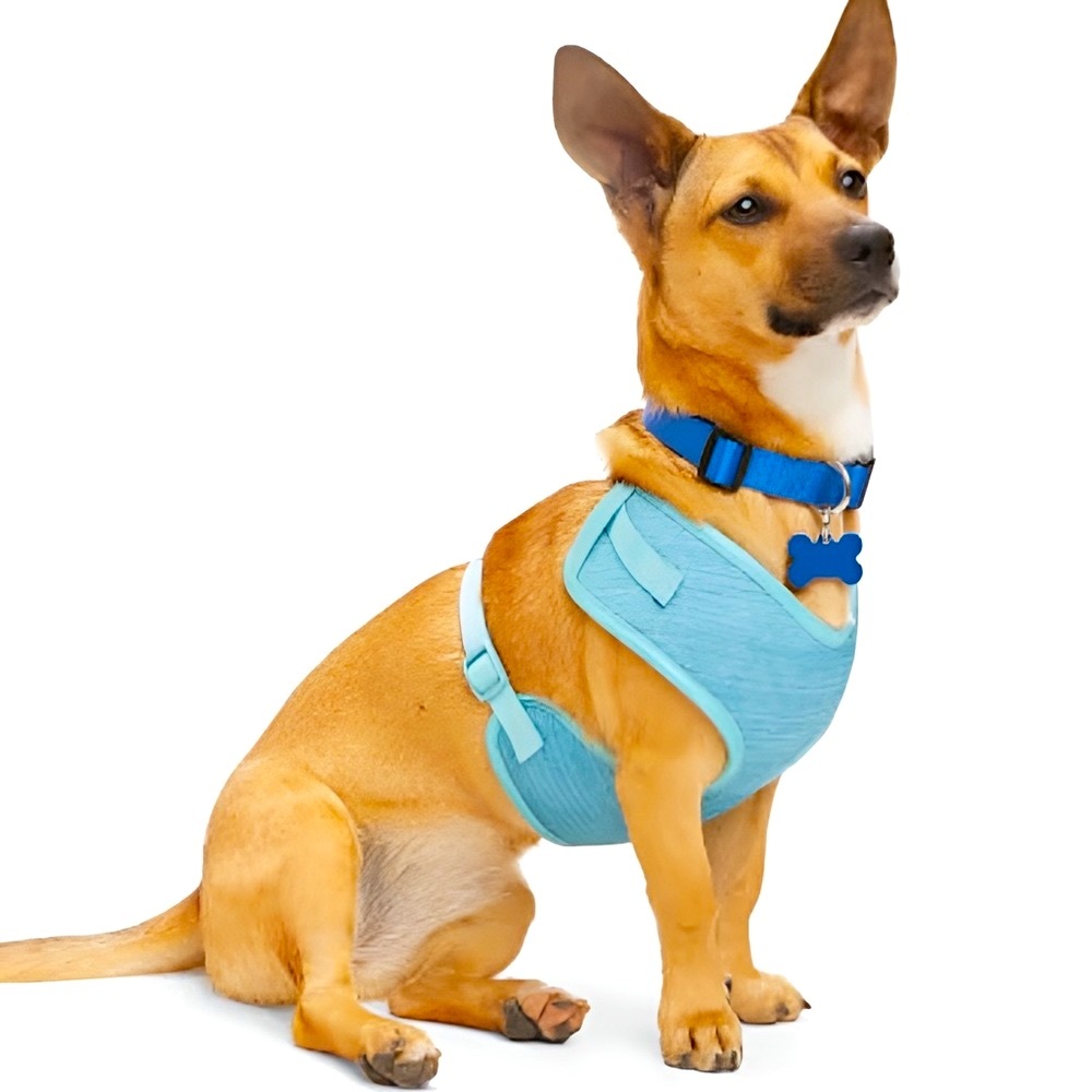 EVERY YAY Padded Mesh No Pull Turquoise Teal Blue Dog Harness 🐶 LARGE 🐶 NWT